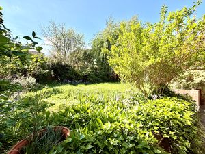Garden- click for photo gallery